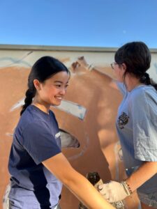 Voluntarias pintando
